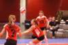 ccday10153_small.jpg