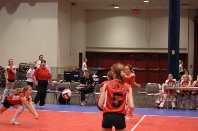ccday10260.jpg