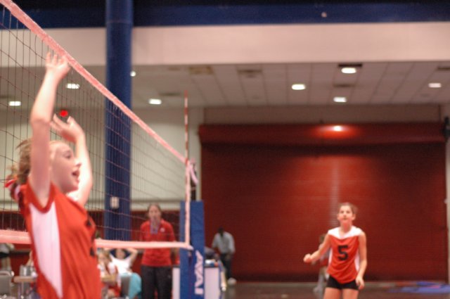ccday10283.jpg