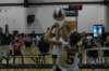 dsc_0082_small.jpg