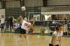 dsc_0109_small.jpg