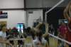 dsc_0127_small.jpg