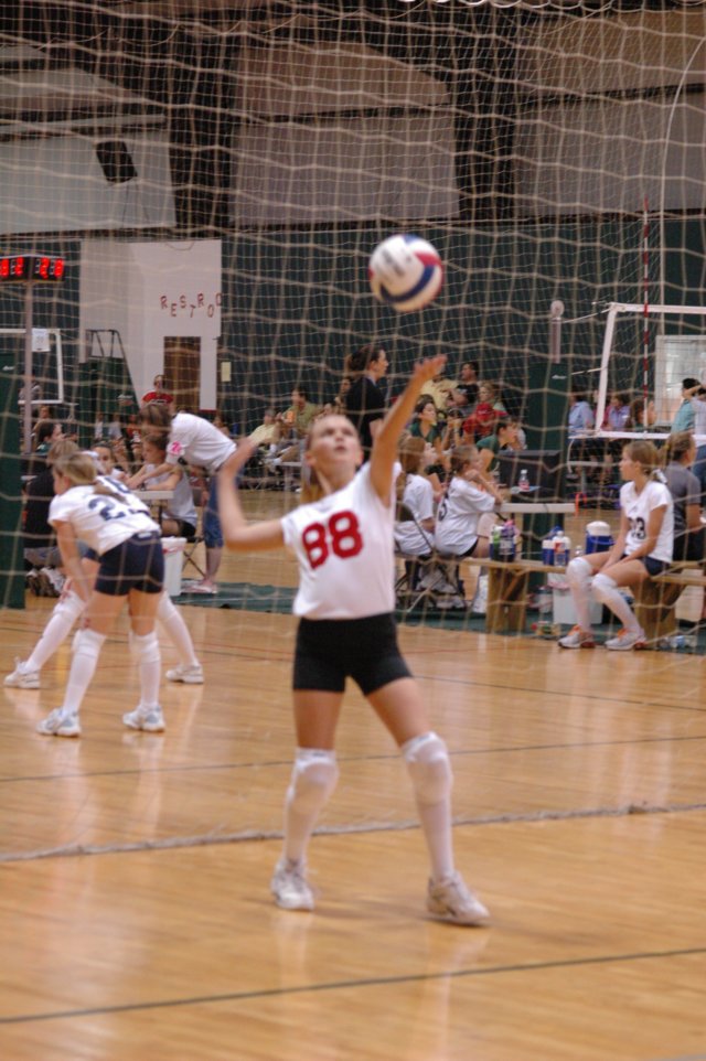 dsc_0156.jpg