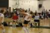 dsc_0165_small.jpg