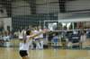 dsc_0187_small.jpg