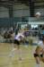 dsc_0239_small.jpg