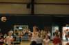 dsc_0262_small.jpg