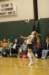 dsc_0264_small.jpg