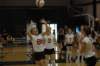 dsc_0290_small.jpg