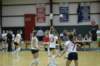 dsc_0300_small.jpg