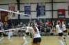 dsc_0330_small.jpg