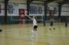 dsc_0331_small.jpg