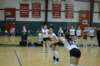 dsc_0337_small.jpg