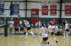 dsc_0339_small.jpg