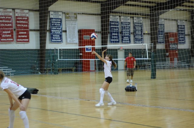 dsc_0374.jpg