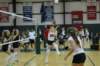 dsc_0381_small.jpg