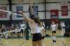 dsc_0382_small.jpg