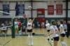 dsc_0397_small.jpg