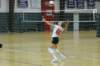 dsc_0420_small.jpg