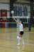 dsc_0433_small.jpg