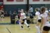 dsc_0451_small.jpg