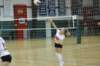 dsc_0541_small.jpg