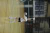 dsc_0549_small.jpg