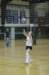 dsc_0550_small.jpg
