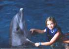 allieandthedolphin2_small.jpg