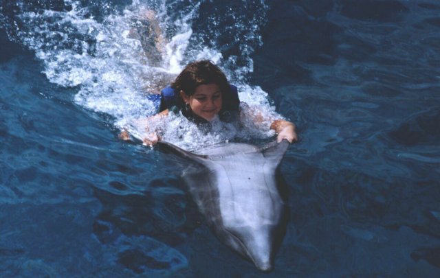 maddieandthedolphin2.jpg